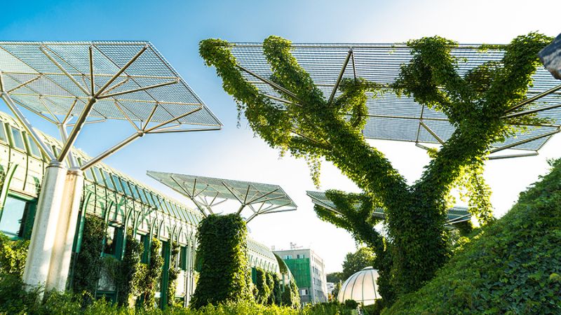 Top 10 Eco-Friendly Construction Methods for a Sustainable Future